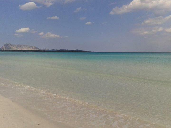 Nonna Antonietta San Teodoro (Sardinia) Exterior foto